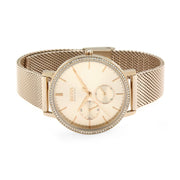  Shop Authentic Hugo Boss Infinity Carnation Gold Dial Gold Mesh Bracelet Watch for Women - 1502519 - Luxxuri