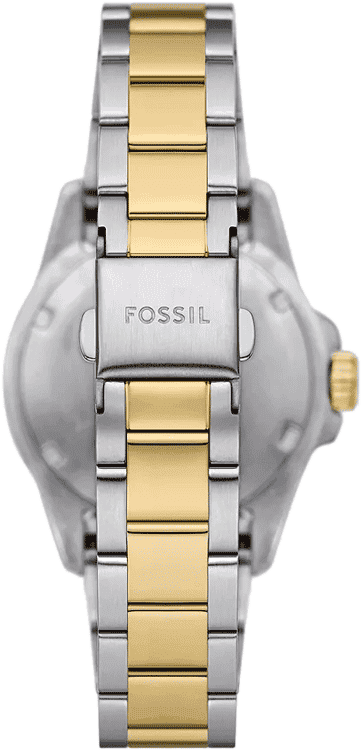  Shop Authentic Fossil Blue Dive Three Hand Black Dial Two Tone Steel Strap Watch For Women - ES5349 - Luxxuri