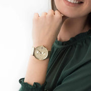  Shop Authentic Tommy Hilfiger Jenna Quartz White Dial Gold Mesh Bracelet Watch For Women - 1781943 - Luxxuri