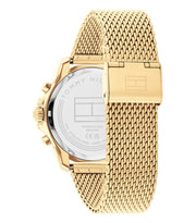  Shop Authentic Tommy Hilfiger Jordan Chronograph Green Dial Gold Mesh Strap Watch For Men - 1792093 - Luxxuri