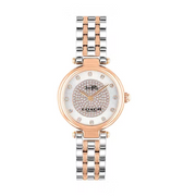 Coach Park Silver Dial Two Tone Steel Strap Watch for Women - 14503642