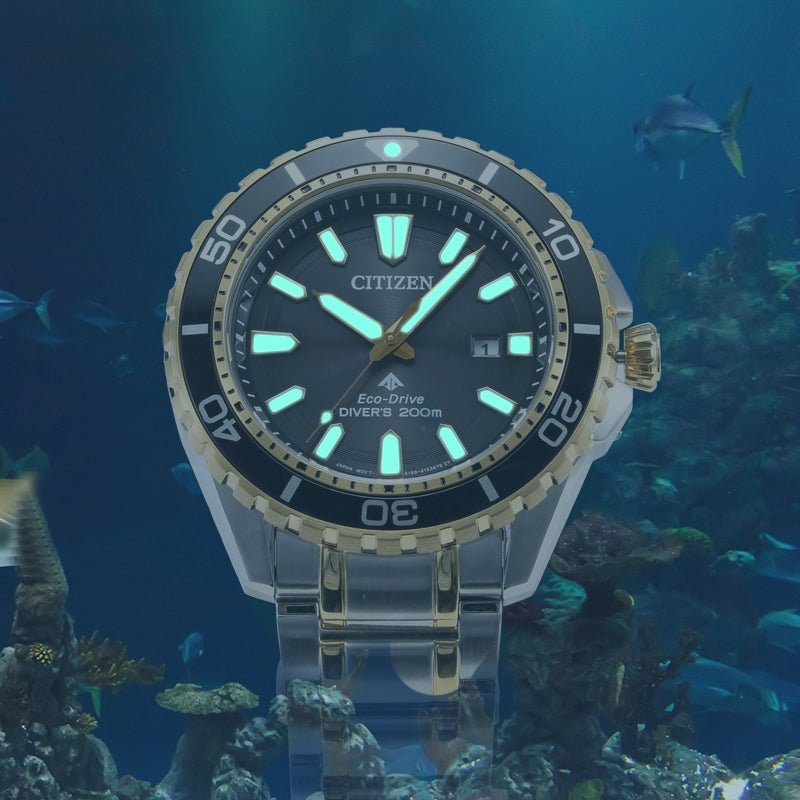  Shop Authentic Citizen Eco Drive Promaster Diver Black Dial Two Tone Steel Strap Watch For Men - BN0194-57E - Luxxuri
