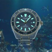  Shop Authentic Citizen Eco Drive Promaster Diver Black Dial Two Tone Steel Strap Watch For Men - BN0194-57E - Luxxuri