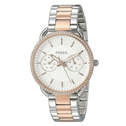  Shop Authentic Fossil Tailor White Dial Two Tone Steel Strap Watch for Women - ES4396 - Luxxuri