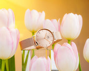  Shop Authentic Daniel Wellington Petite Rose Gold Dial Rose Gold Mesh Bracelet Watch For Women - DW00100471 - Luxxuri