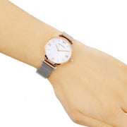  Shop Authentic Emporio Armani Retro Mother of Pearl Dial Silver Mesh Bracelet Watch For Women - AR2067 - Luxxuri