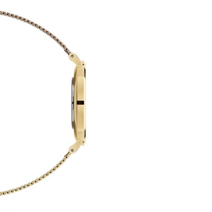  Shop Authentic Daniel Wellington Classic Petite Evergold White Dial Gold Mesh Bracelet Watch For Women - DW00100346 - Luxxuri