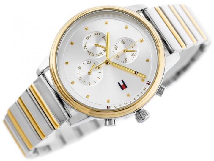  Shop Authentic Tommy Hilfiger Blake Silver Dial Two Tone Steel Strap Watch for Women - 1781908 - Luxxuri
