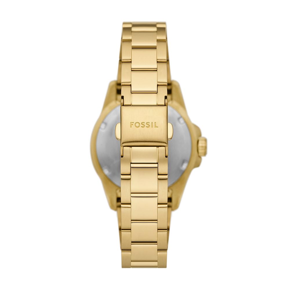  Shop Authentic Fossil Blue Dive Three Hand White Dial Gold Steel Strap Watch For Women - ES5350 - Luxxuri