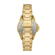  Shop Authentic Fossil Blue Dive Three Hand White Dial Gold Steel Strap Watch For Women - ES5350 - Luxxuri