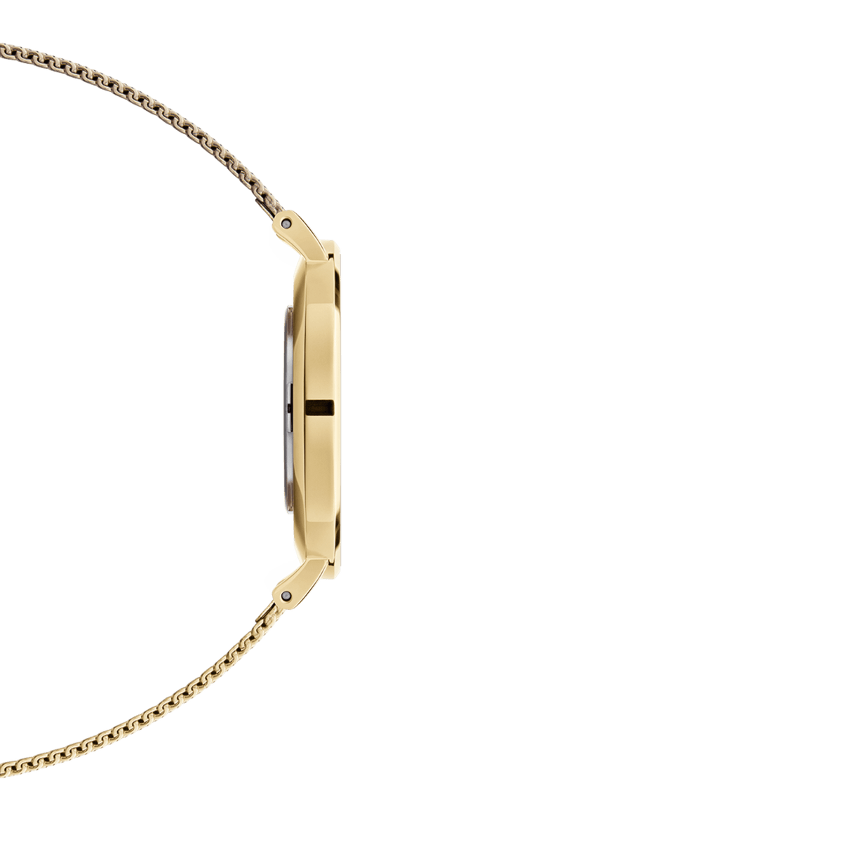  Shop Authentic Daniel Wellington Classic Petite Evergold White Dial Gold Mesh Bracelet Watch For Women - DW00100350 - Luxxuri