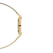  Shop Authentic Daniel Wellington Classic Petite Evergold White Dial Gold Mesh Bracelet Watch For Women - DW00100350 - Luxxuri