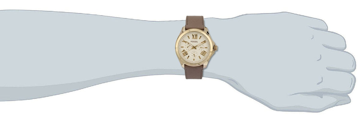  Shop Authentic Fossil Cecile Champagne Dial Grey Leather Strap Watch for Women - AM4529 - Luxxuri