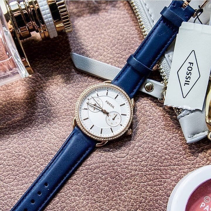 Shop Authentic Fossil Tailor White Dial Blue Leather Strap Watch for Women - ES4394 - Luxxuri