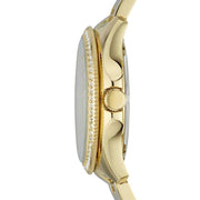  Shop Authentic Fossil Cecile Chronograph Gold Dial Gold Steel Strap Watch for Women - AM4482 - Luxxuri