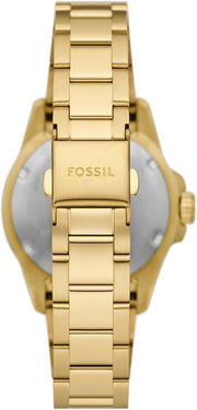  Shop Authentic Fossil Blue Dive Three Hand White Dial Gold Steel Strap Watch For Women - ES5350 - Luxxuri