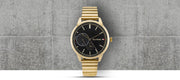  Shop Authentic Tommy Hilfiger Brooke Black Dial Gold Steel Strap Watch for Women  - 1782019 - Luxxuri