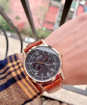  Shop Authentic Citizen Eco Drive Multi Function Day & Date Black Dial Brown Leather Strap Watch For Men - AO9003-08E - Luxxuri