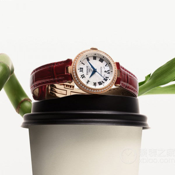  Shop Authentic Tissot Bellissima Small Lady Diamonds Silver Dial Brown Leather Strap Watch For Women - T126.207.66.113.00 - Luxxuri
