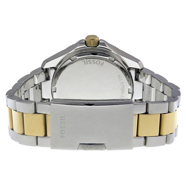  Shop Authentic Fossil Cecile White Dial Two Tone Steel Strap Watch for Women - AM4543 - Luxxuri