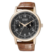  Shop Authentic Citizen Eco Drive Multi Function Day & Date Black Dial Brown Leather Strap Watch For Men - AO9003-08E - Luxxuri