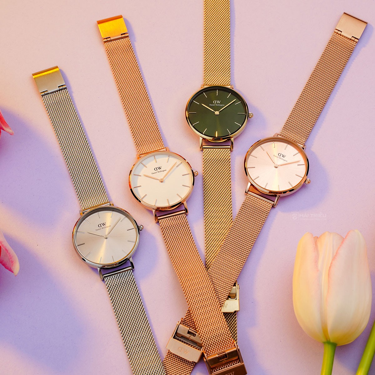  Shop Authentic Daniel Wellington Petite Emerald Green Dial Gold Mesh Strap Watch For Women - DW00100480 - Luxxuri