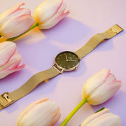 Shop Authentic Daniel Wellington Petite Emerald Green Dial Gold Mesh Strap Watch For Women - DW00100480 - Luxxuri