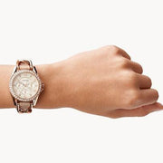  Shop Authentic Fossil Riley White Dial Beige Leather Strap Watch for Women - ES3465 - Luxxuri