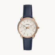  Shop Authentic Fossil Tailor White Dial Blue Leather Strap Watch for Women - ES4394 - Luxxuri
