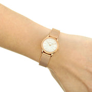  Shop Authentic Calvin Klein Minimal White Dial Rose Gold Mesh Bracelet Watch for Women - K3M23626 - Luxxuri