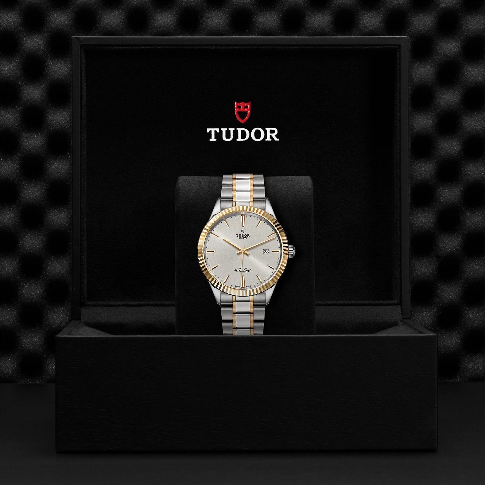 Shop Authentic Tudor Style Automatic Silver Dial Two Tone Steel Strap Watch for Men - M12713-0003 - Luxxuri