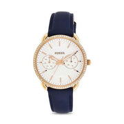  Shop Authentic Fossil Tailor White Dial Blue Leather Strap Watch for Women - ES4394 - Luxxuri
