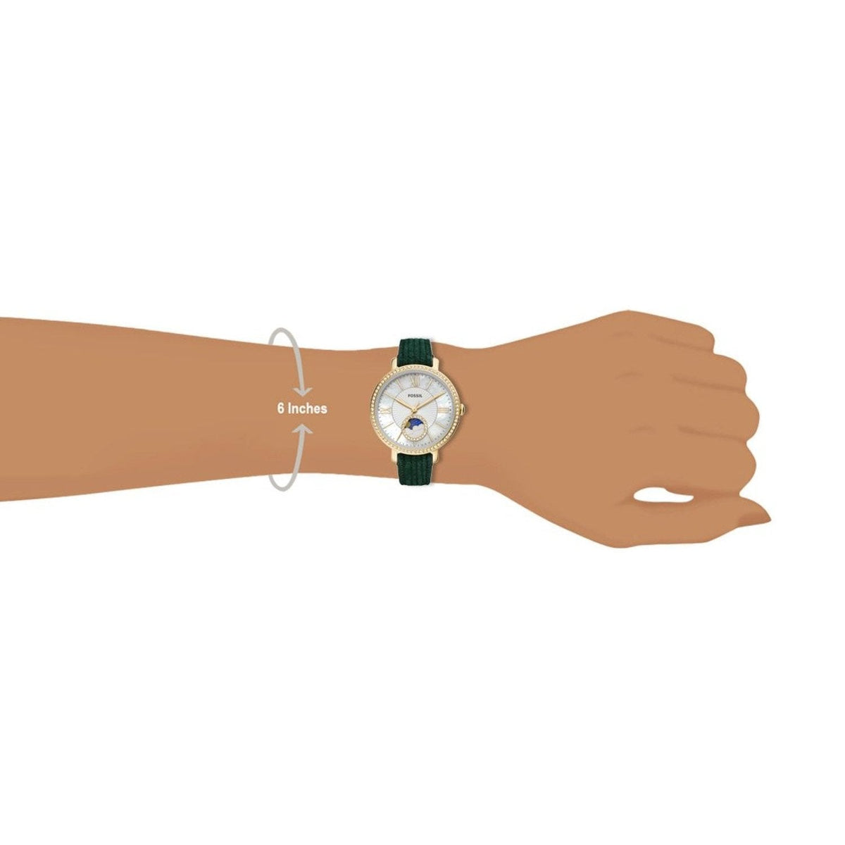  Shop Authentic Fossil Jacqueline Multifunction Moonphase Mother of Pearl White Dial Green Leather Strap Watch for Women - ES5244 - Luxxuri
