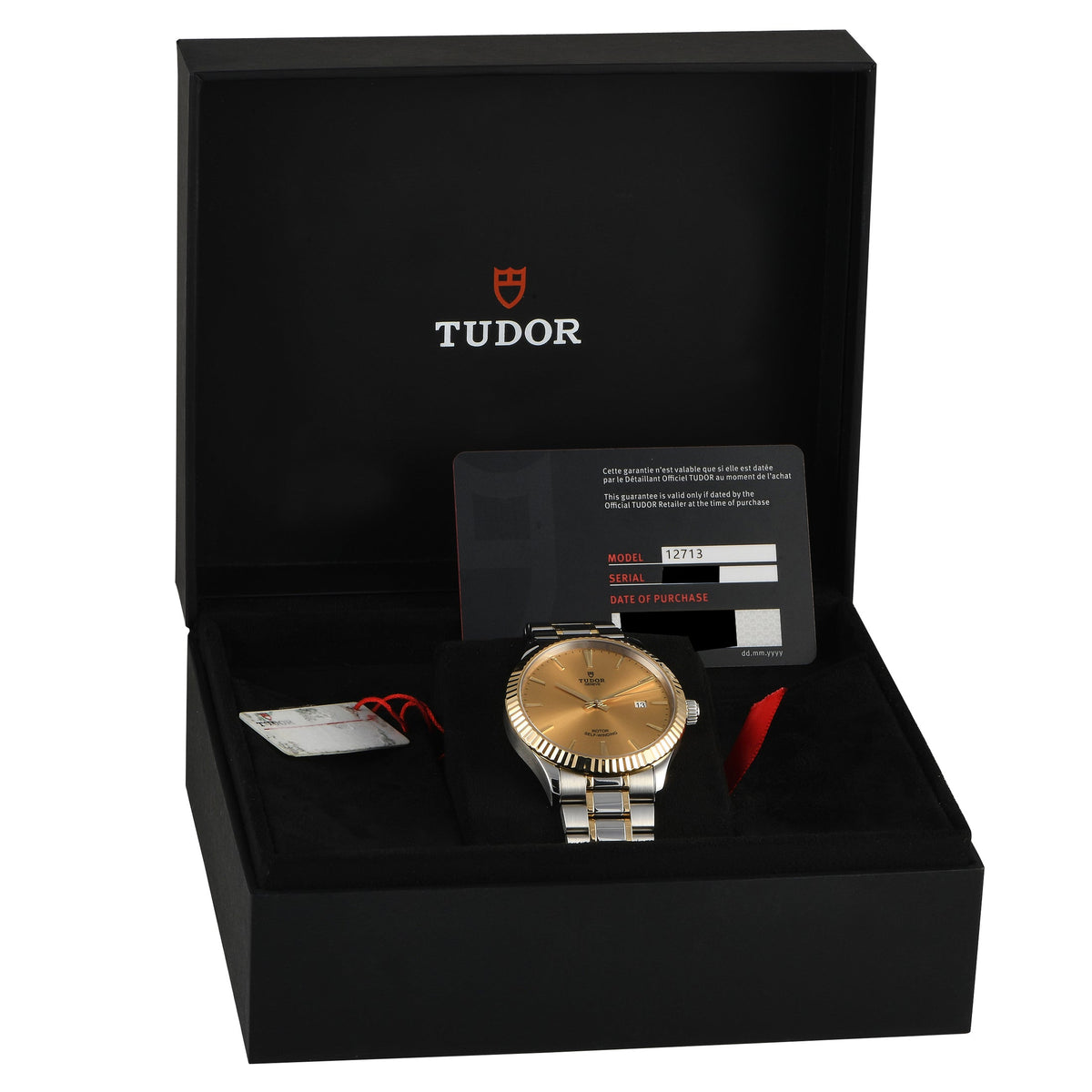  Shop Authentic Tudor Style Automatic Gold Dial Two Tone Steel Strap Watch for Men - M12713-0001 - Luxxuri