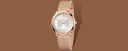  Shop Authentic Calvin Klein Minimal White Dial Rose Gold Mesh Bracelet Watch for Women - K3M22626 - Luxxuri
