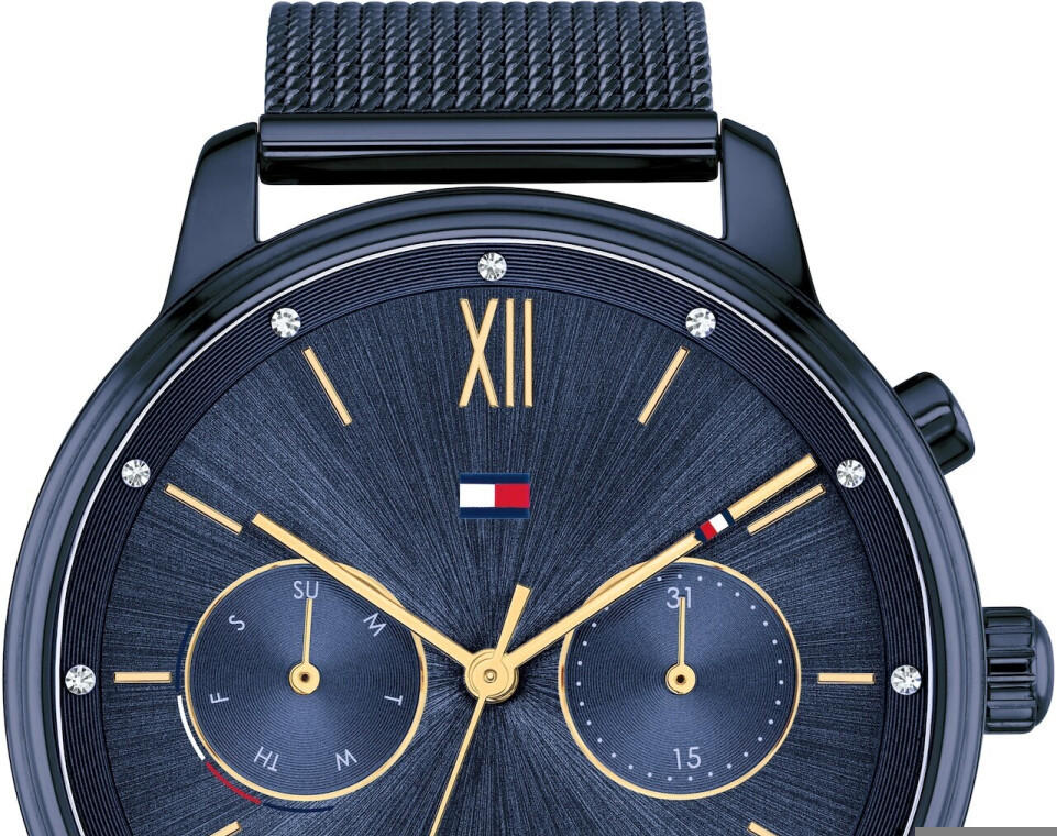  Shop Authentic Tommy Hilfiger Blake Quartz Blue Dial Blue Mesh Bracelet Watch for Men - 1782305 - Luxxuri