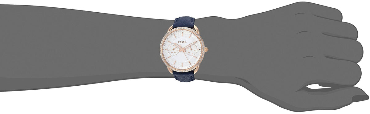  Shop Authentic Fossil Jacqueline White Dial Blue Leather Strap Watch for Women - ES4291 - Luxxuri