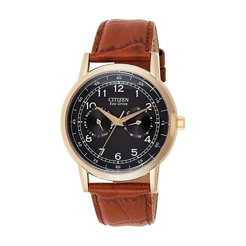  Shop Authentic Citizen Eco Drive Multi Function Day & Date Black Dial Brown Leather Strap Watch For Men - AO9003-08E - Luxxuri