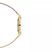  Shop Authentic Daniel Wellington Classic Petite White Dial Gold Mesh Bracelet Watch For Women - DW00100348 - Luxxuri