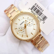  Shop Authentic Fossil Tailor Gold Dial Gold Steel Strap Watch for Women - ES4263 - Luxxuri