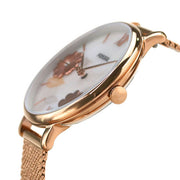  Shop Authentic Fossil Jacqueline Three-Hand White Dial Rose Gold Mesh Bracelet Watch for Women - ES4534 - Luxxuri