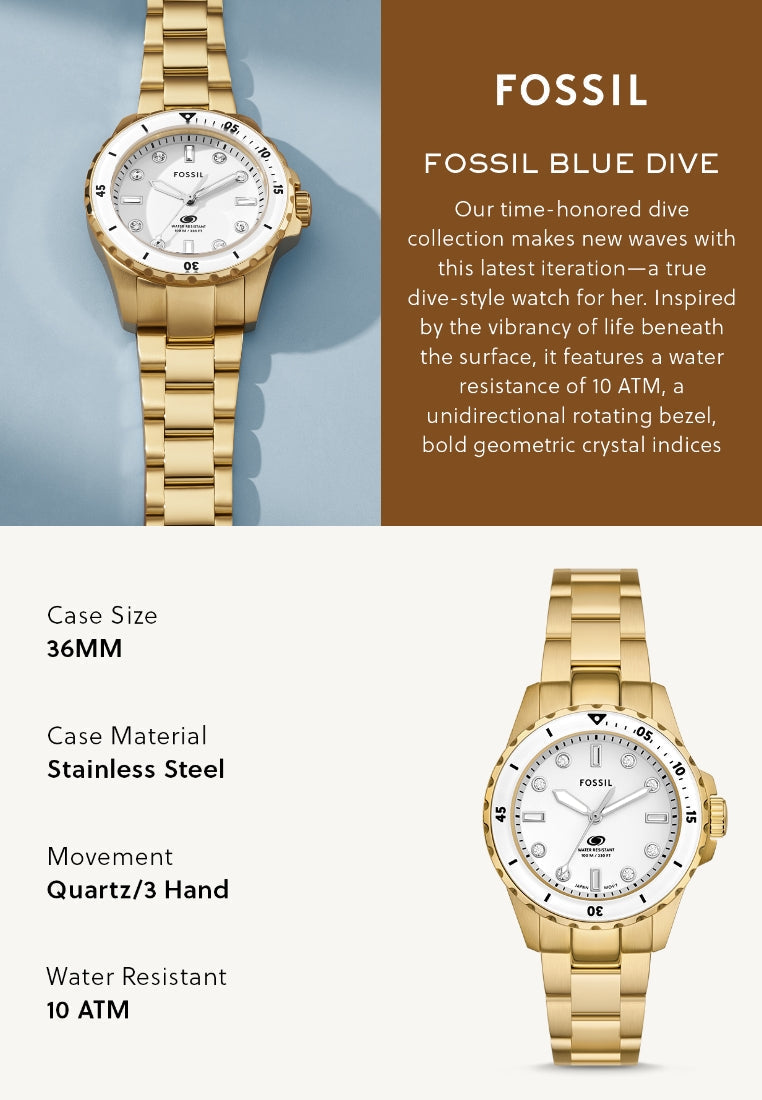  Shop Authentic Fossil Blue Dive Three Hand White Dial Gold Steel Strap Watch For Women - ES5350 - Luxxuri