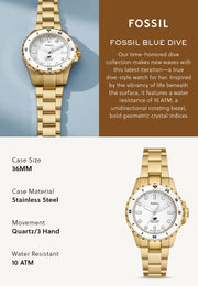  Shop Authentic Fossil Blue Dive Three Hand White Dial Gold Steel Strap Watch For Women - ES5350 - Luxxuri