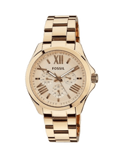  Shop Authentic Fossil Cecile Rose Gold Dial Rose Gold Steel Strap Watch for Women - AM4511 - Luxxuri