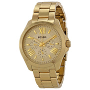  Shop Authentic Fossil Cecile Multifunction Champagne Dial Gold Steel Strap Watch for Women - AM4510 - Luxxuri