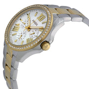  Shop Authentic Fossil Cecile White Dial Two Tone Steel Strap Watch for Women - AM4543 - Luxxuri