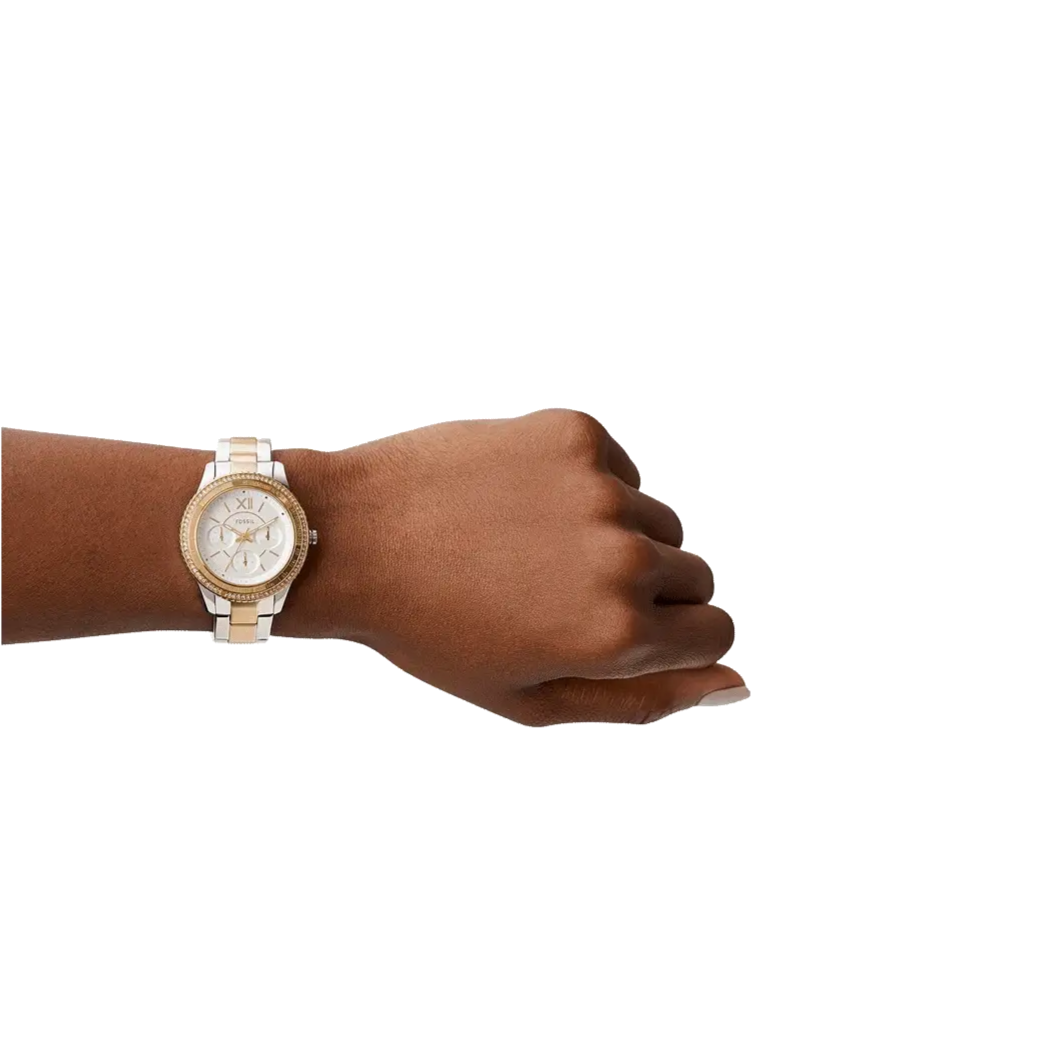  Shop Authentic Fossil Stella Sport Multifunction Silver Dial Two Tone Steel Strap Watch for Women - ES5107 - Luxxuri