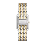  Shop Authentic Fossil Raquel Three Hand Mother of Pearl Dial Two Tone Steel Strap Watch For Women - ES5305 - Luxxuri
