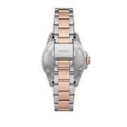  Shop Authentic Fossil Blue Dive Three Hand Gray Dial Two Tone Steel Strap Watch For Women - ES5348 - Luxxuri