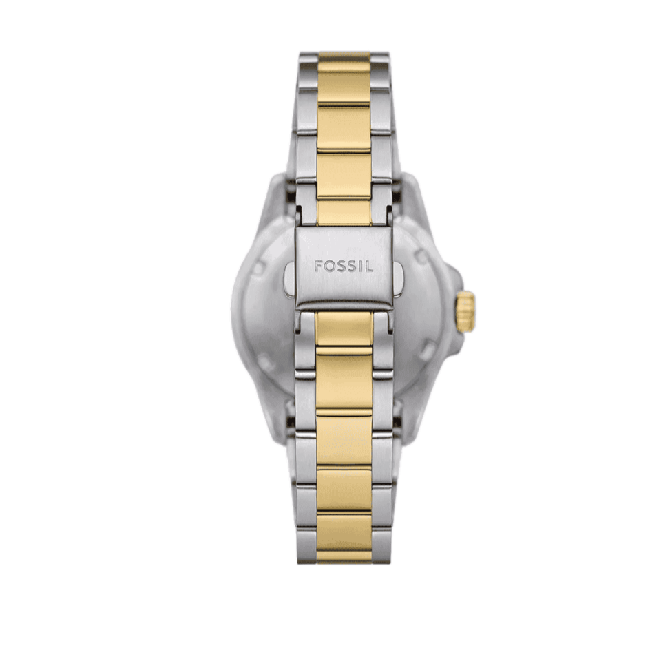  Shop Authentic Fossil Blue Dive Three Hand Black Dial Two Tone Steel Strap Watch For Women - ES5349 - Luxxuri